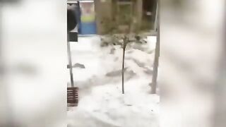 2 minutes ago! Tragedy in Switzerland! The whole world is shocked!
