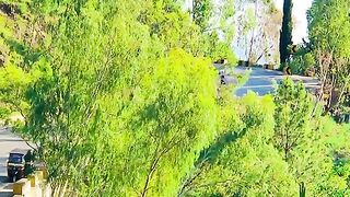 status,status video,status song,status whatsap,beast song,good song,video,natural