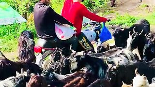 status,status video,status song,status whatsap,beast song,good song,video,natural