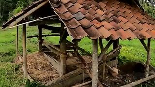 natural beauty in the countryside