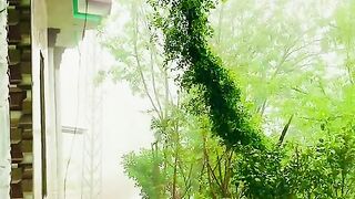 status,status video,status song,status whatsap,beast song,good song,video,natural