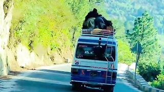 2495,status,status video,status song,status whatsap,beast song,good song,video,natural