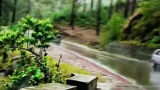 2505,status,status video,status song,status whatsap,beast song,good song,video,natural