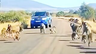 پوری قوم کے لیے سبق ہے اتقاق ہو تو کوئی کچھ نہیں کر سکتا چاہے