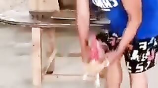 Love is all 3