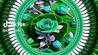 Malik touqeer abbas khan videos follow me 41