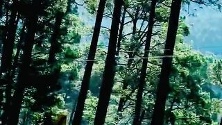 2530,status,status video,status song,status whatsap,beast song,good song,video,natural