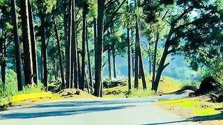 status,status video,status song,status whatsap,beast song,good song,video,natural