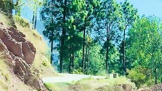 status,status video,status song,status whatsap,beast song,good song,video,natural