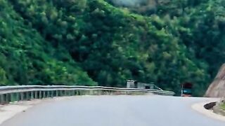 status,status video,status song,status whatsap,beast song,good song,video,natural
