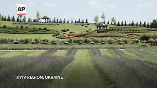 Despite hardships of war, flowers fill Kyiv and other Ukrainian cities