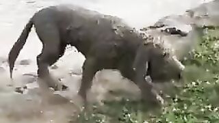 Зато счастлива!