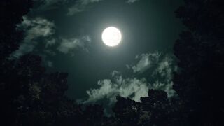 Demon Slayer S1 E 18 ENG DUB