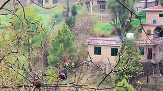 status,status video,status song,status whatsap,beast song,good song,video,natural
