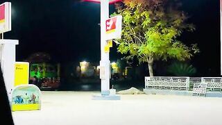 status,status video,status song,status whatsap,beast song,good song,video,natural