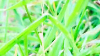status,status video,status song,status whatsap,beast song,good song,video,natural