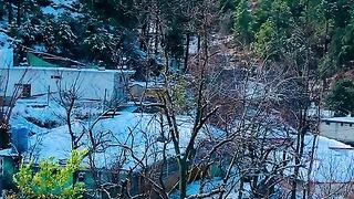 2575,status,status video,status song,status whatsap,beast song,good song,video,natural