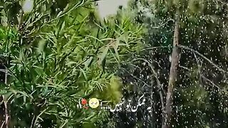 status,status video,status song,status whatsap,beast song,good song,video,natural