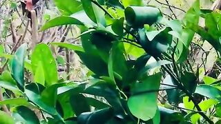 status,status video,status song,status whatsap,beast song,good song,video,natural