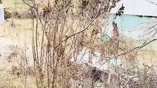 status,status video,status song,status whatsap,beast song,good song,video,natural