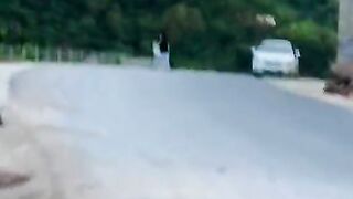 2595,status,status video,status song,status whatsap,beast song,good song,video,natural