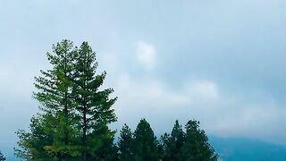 status,status video,status song,status whatsap,beast song,good song,video,natural