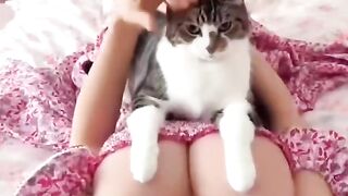 Smart cat#FYP