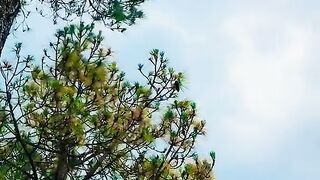 status,status video,status song,status whatsap,beast song,good song,video,natural
