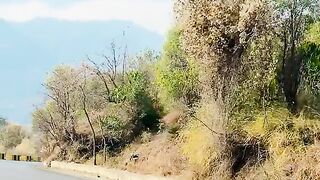 status,status video,status song,status whatsap,beast song,good song,video,natural