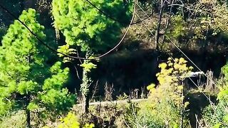status,status video,status song,status whatsap,beast song,good song,video,natural