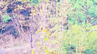2650,status,status video,status song,status whatsap,beast song,good song,video,natural