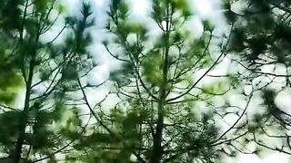 2655,status,status video,status song,status whatsap,beast song,good song,video,natural