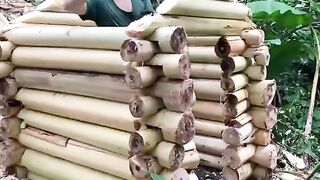 Sustainable Living: Building a House with Banana Trees
