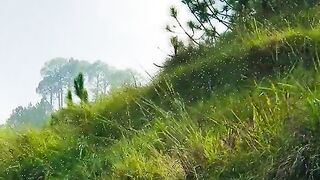 status,status video,status song,status whatsap,beast song,good song,video,natural