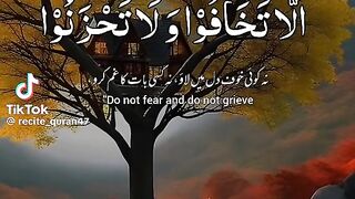 Holy Quran 4