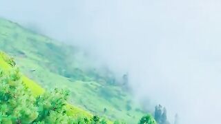 2685,status,status video,status song,status whatsap,beast song,good song,video,natural
