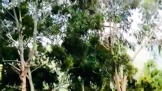 status,status video,status song,status whatsap,beast song,good song,video,natural