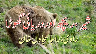 The Lion`s Revenge.