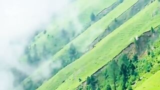 2695,status,status video,status song,status whatsap,beast song,good song,video,natural