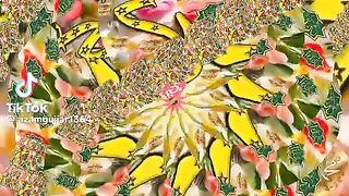 Malik touqeer abbas khan videos follow me 43