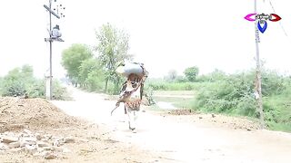#villagelife | Ramzi Sughri, Koki, Jatti, & Mai Sabiran,Bhotna,Sanam New Funny Video By Rachnavi Tv