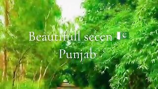 Beautiful seen 11