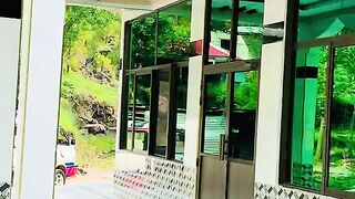 2725,status,status video,status song,status whatsap,beast song,good song,video,natural