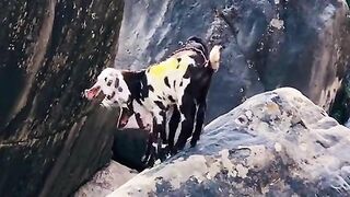 status,status video,status song,status whatsap,beast song,good song,video,natural