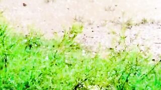 2730,status,status video,status song,status whatsap,beast song,good song,video,natural