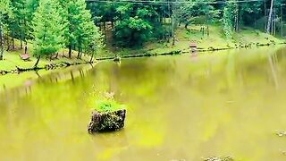 status,status video,status song,status whatsap,beast song,good song,video,natural