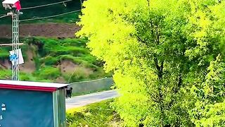 status,status video,status song,status whatsap,beast song,good song,video,natural