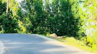 status,status video,status song,status whatsap,beast song,good song,video,natural