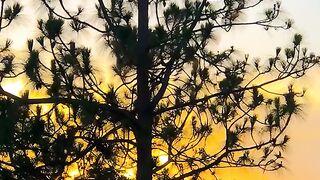 2740,status,status video,status song,status whatsap,beast song,good song,video,natural