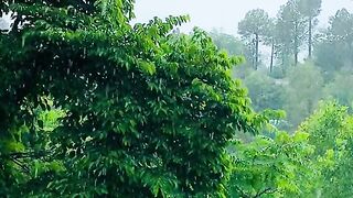 status,status video,status song,status whatsap,beast song,good song,video,natural